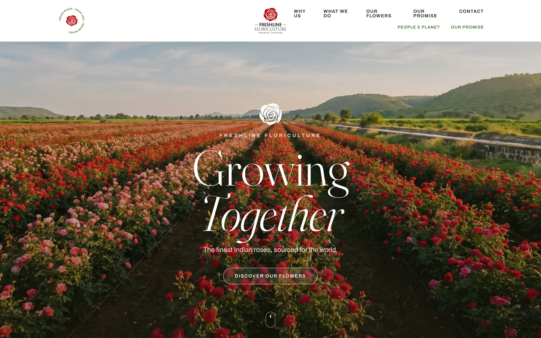 Freshline Floriculture — homepage hero over a field of Indian roses with the Growing Together tagline