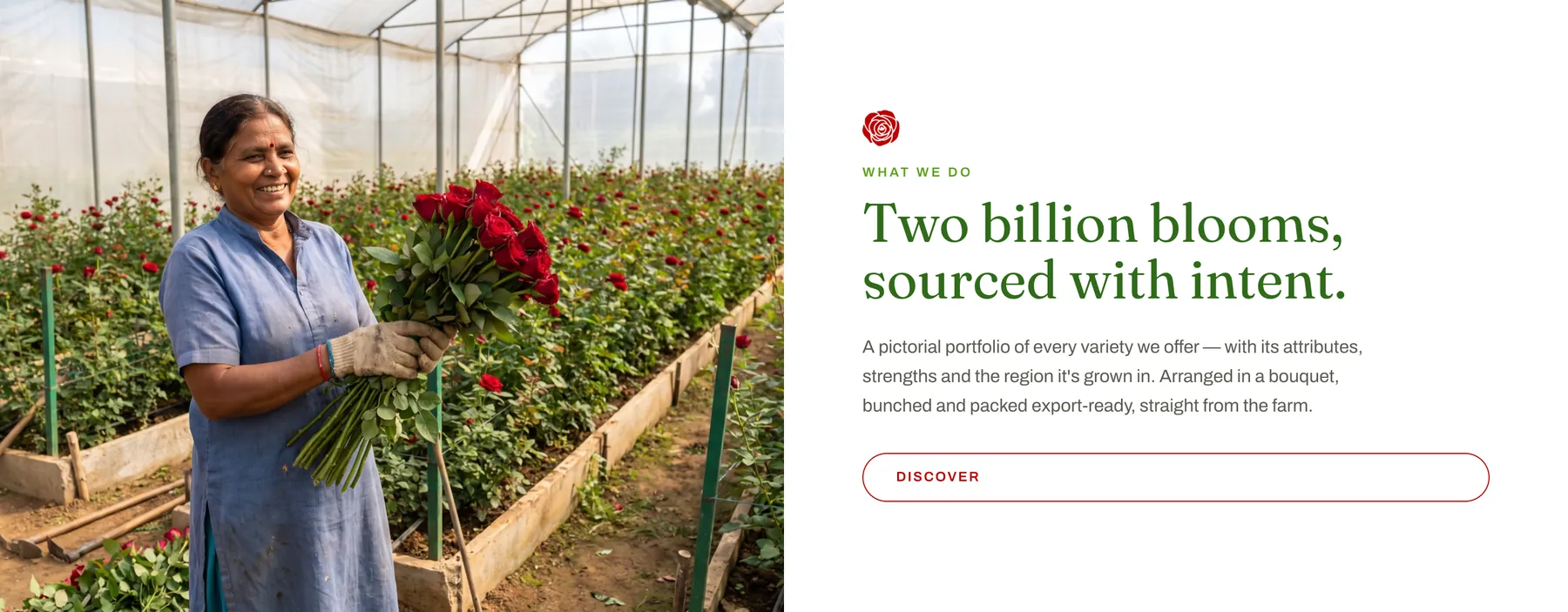 What We Do — a grower holding cut roses beside the Two billion blooms, sourced with intent headline