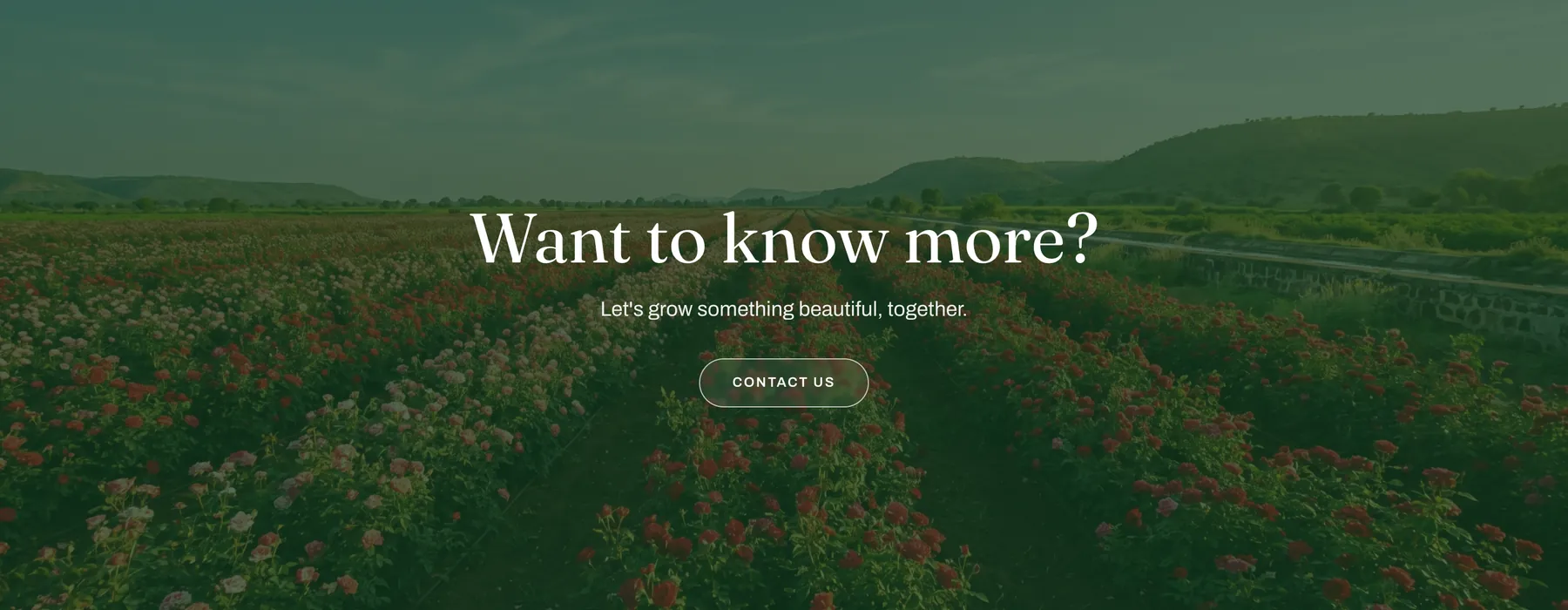 Want to know more — closing contact band over a green-tinted field of roses